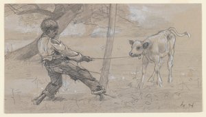 The Unruly Calf by Winslow Homer